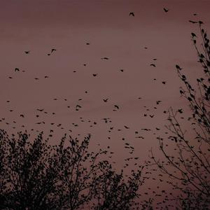 91禁🍆🍑🔞❌❌❌一起草
