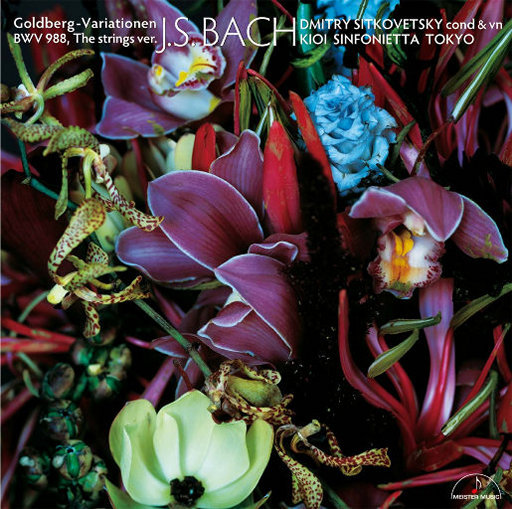 91禁🍆🍑🔞❌❌❌一起草
